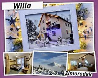 Апартаменты Willa Zimorodek Карпач Двухместный номер с 1 кроватью-7