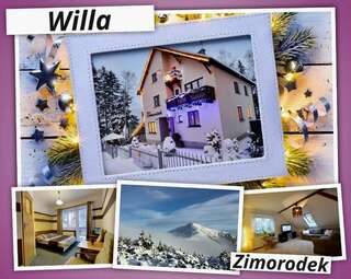 Апартаменты Willa Zimorodek Карпач Двухместный номер с 1 кроватью-25
