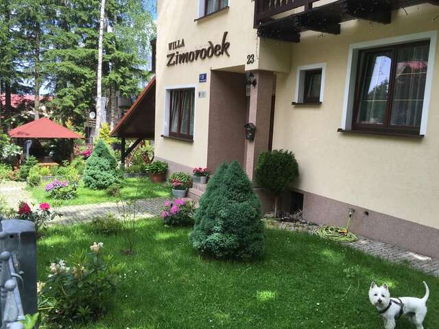 Апартаменты Willa Zimorodek Карпач-19